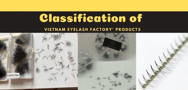 Classification-of-Vietnam-Eyelash-Factory-products