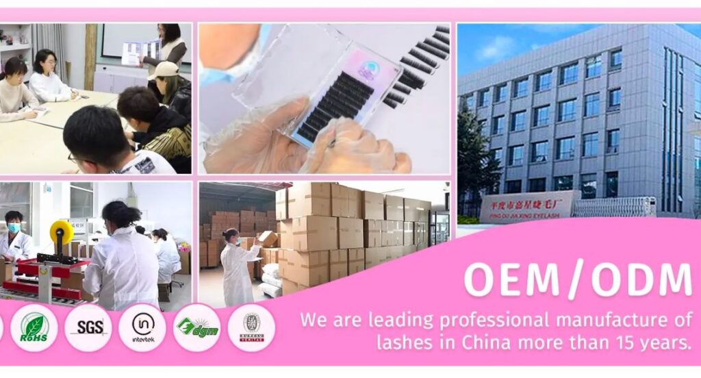 Qingdao Daily Eyelash Co., Ltd 
