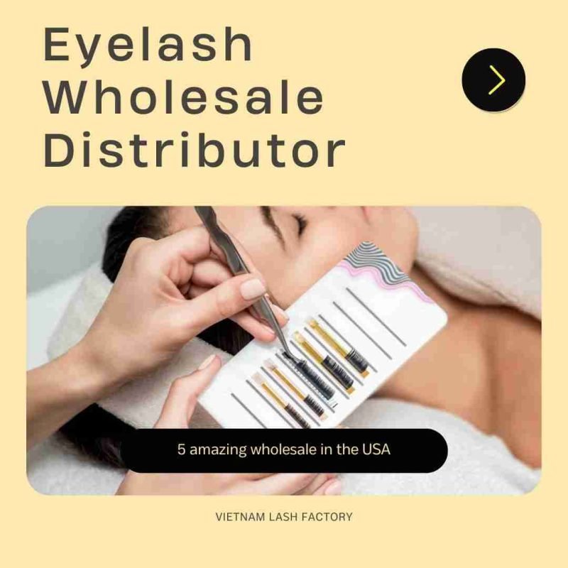 eyelash wholesale distributor
