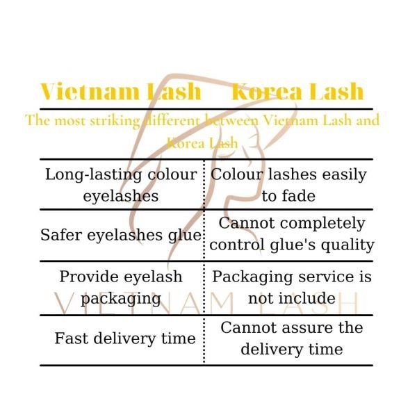 The-most-striking-different-between-Vietnam-Lash-and-Korea-Lash