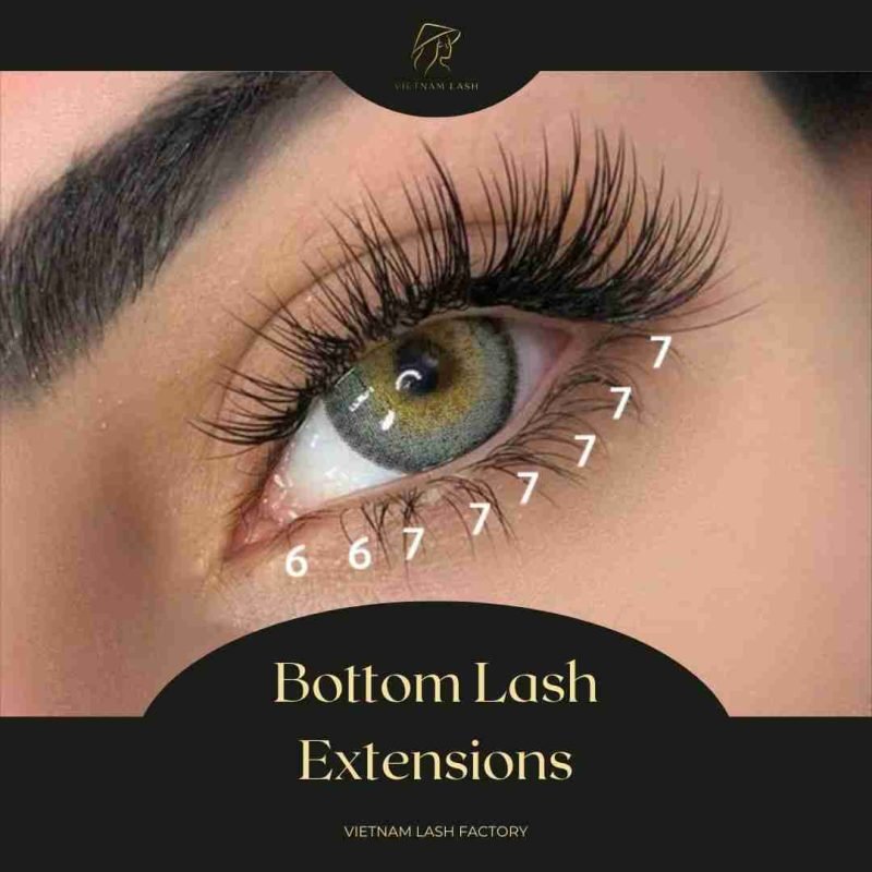 bottom lash extensions