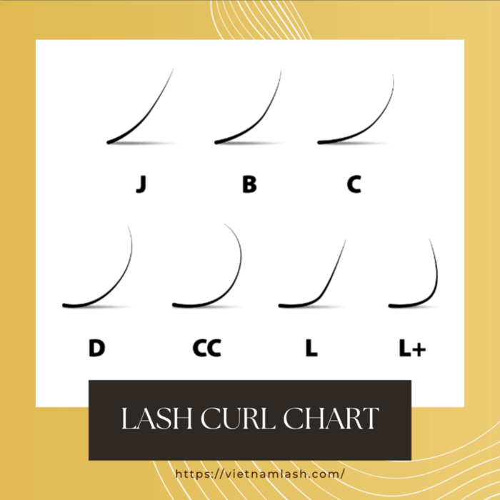 lash curl chart
