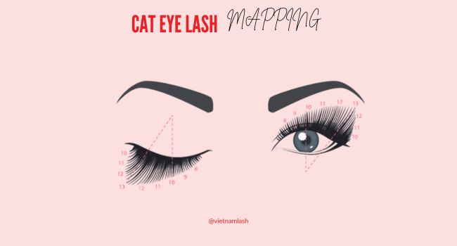 The dramatic lengthening towards the outer corners of the cat eyelash mapping creates the illusion of wider eyes