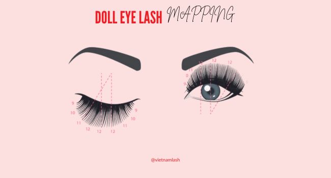 Doll eyelash mapping creates the apprearance of larger and more open eyes. 