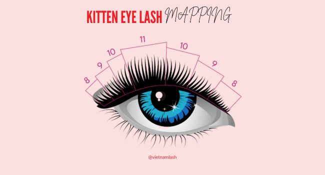 Kitten eye lash mapping is to achieve a balanced look