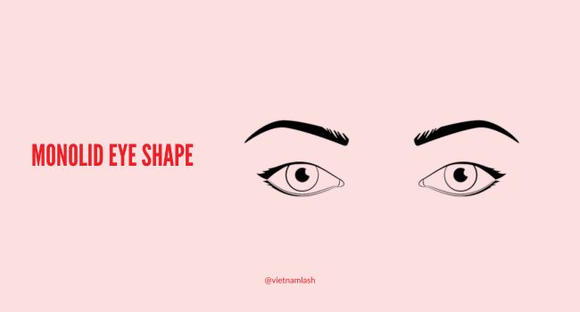 Monolid eye shape