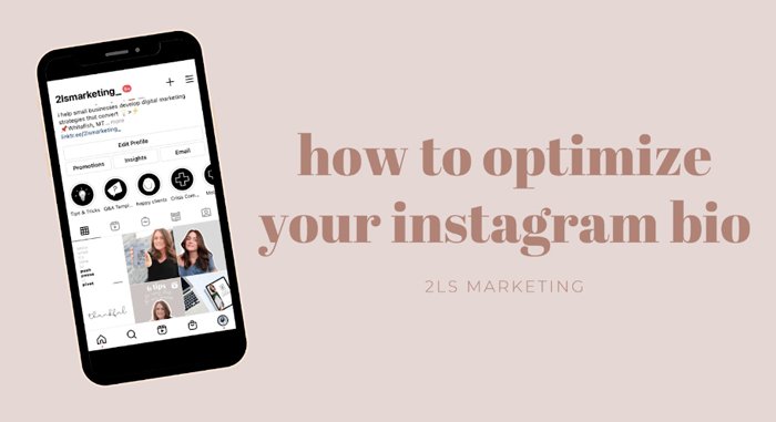 Your Instagram bio should include short but comprehensive information