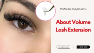 about volume lash extension