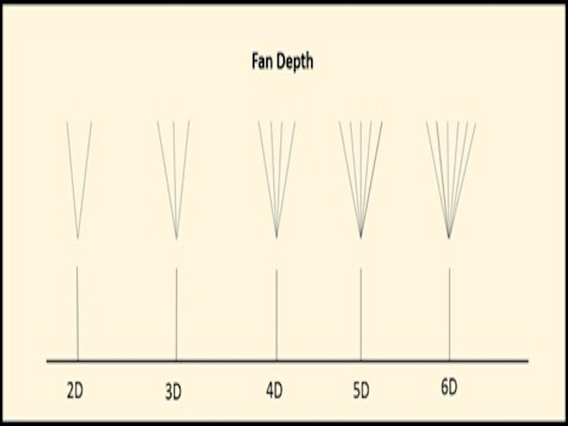 2D to 6D show you how many lash extensions are attached to one natural lash