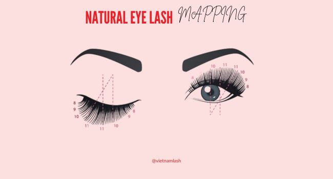 A suggested mapping for natural eyelash extensions style