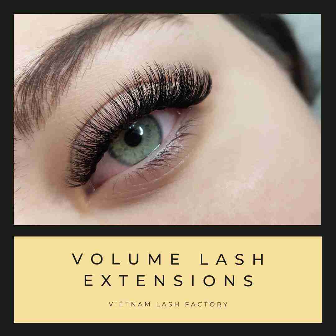 An Overview Of Volume Lash Extensions You Should Know Sooner