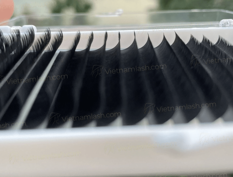 A box of classic lashes 