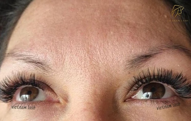 Lash fill in with volume fans lash