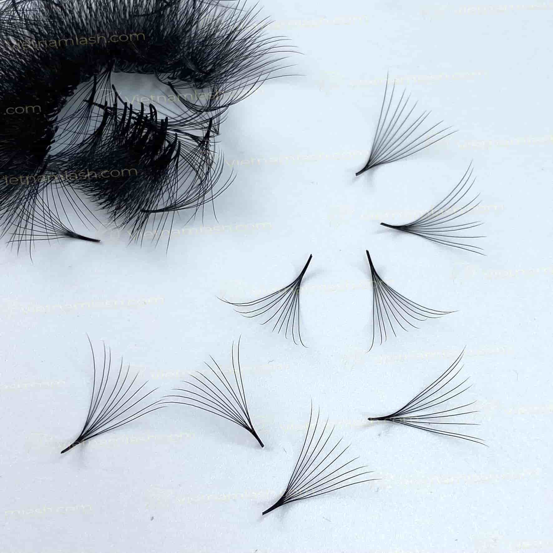 10D 0.05 Mega Volume Lashes