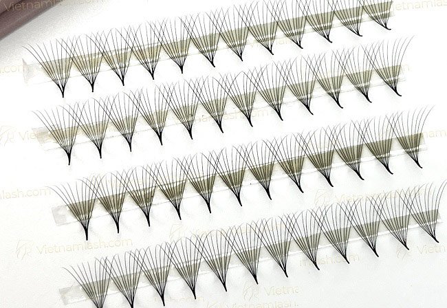 10D rapid fan
