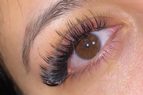 Wispy Hybrid Lashes