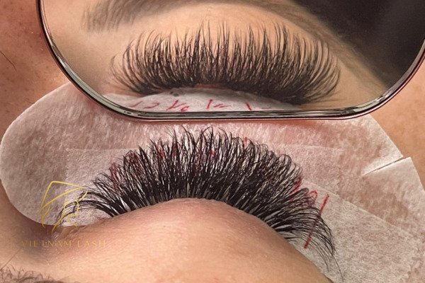 Wispy Volume Lashes