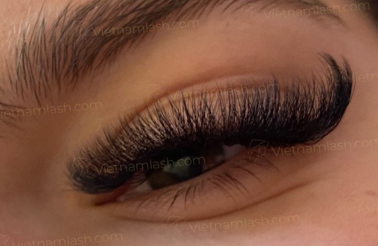 Applied volume lashes extension