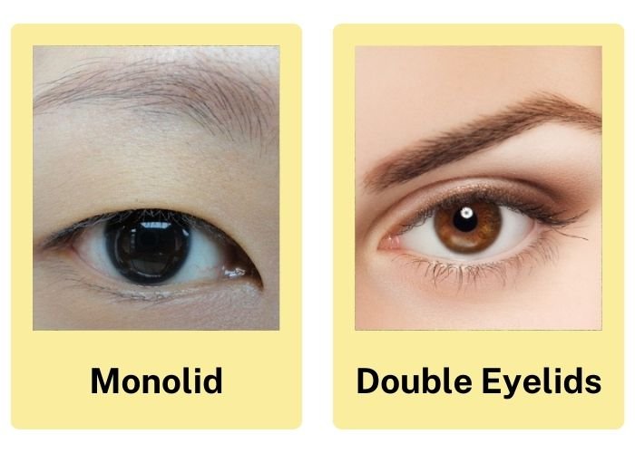 Monolid eyes are often found as a genetic trait among the Asians