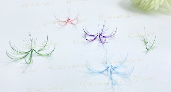 Color wispy promade fans
