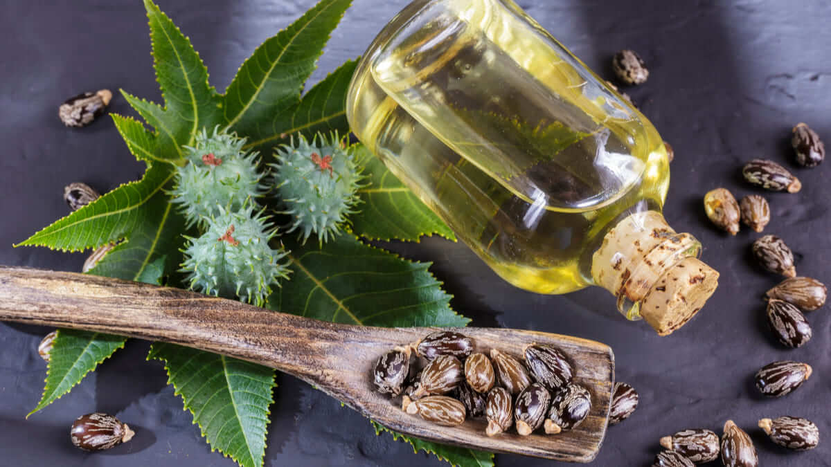 Castor oil varies in purity, processing methods, and added ingredients