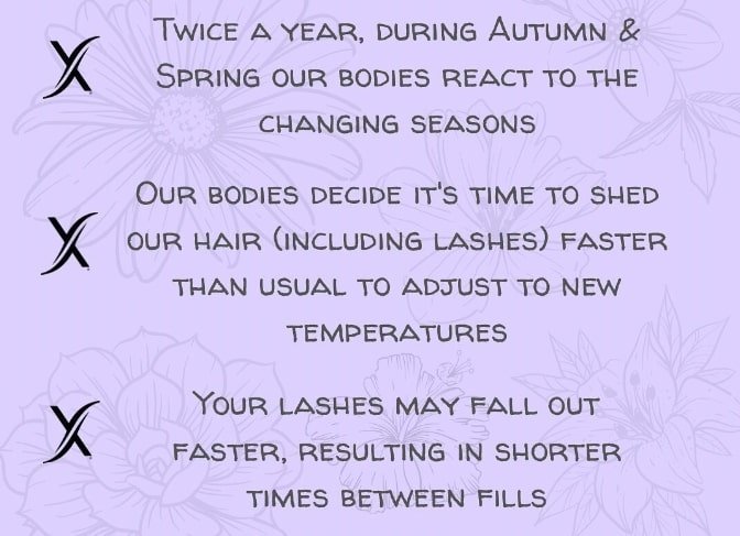 Seasonal lash shedding occurs most often during the fall months