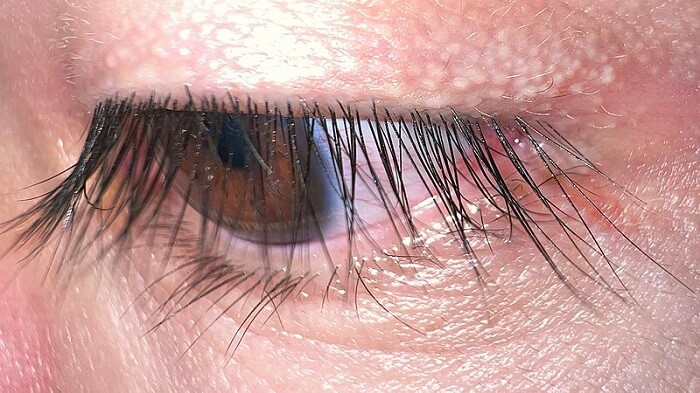 Health of natural lashes can influence the application time during lash extensions