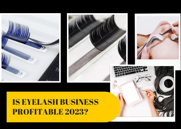 Is Eyelash Business Profitable