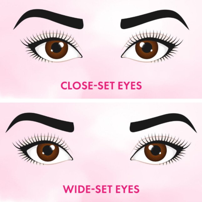 General types of eye shapes (wide set eyes, close set eyes, prominent