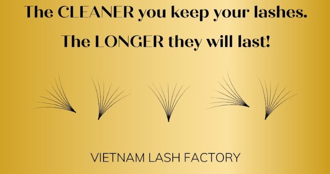 Keep the lashes clean as much as possible to improve the longevity