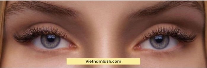 large and round eyes are suitable to have cat eyelash style extensions