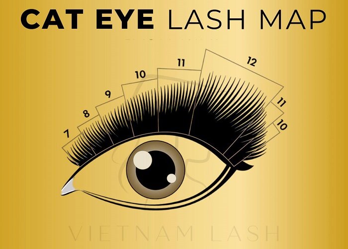 cat eye lash map