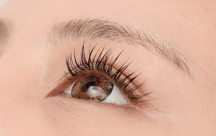 How many eyelashes do we have in a natural set of lashes?