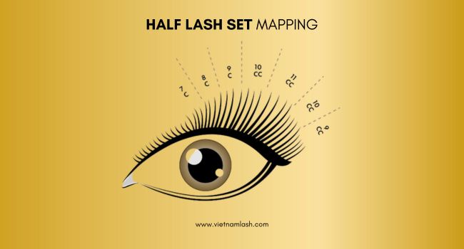 A recommended half lash set mapping