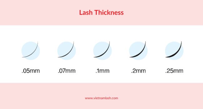 Different thicknesses of lash you can choose from