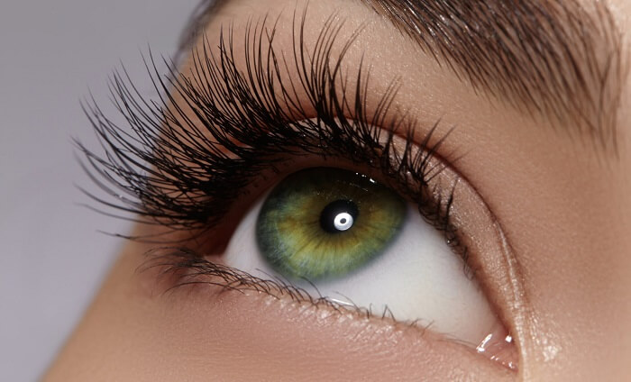 Permanent eyelash extensions are intended to last up to three months