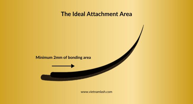 The ideal attachment area