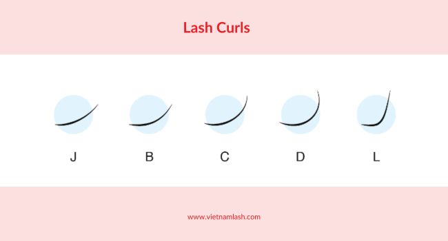 Various lash curls for lash extensions