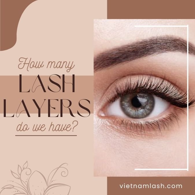 How many lash layers do we have?