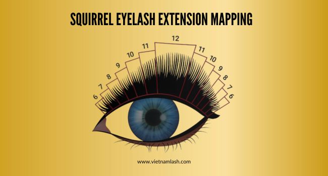 A suggestion for squirrel eyelash extensions mapping