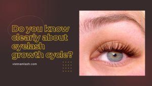 eyelash growth cycle