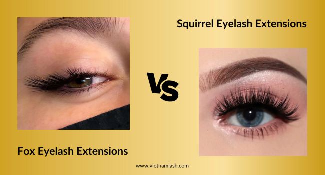 A comparison between fox and squirrel eyelash extensions
