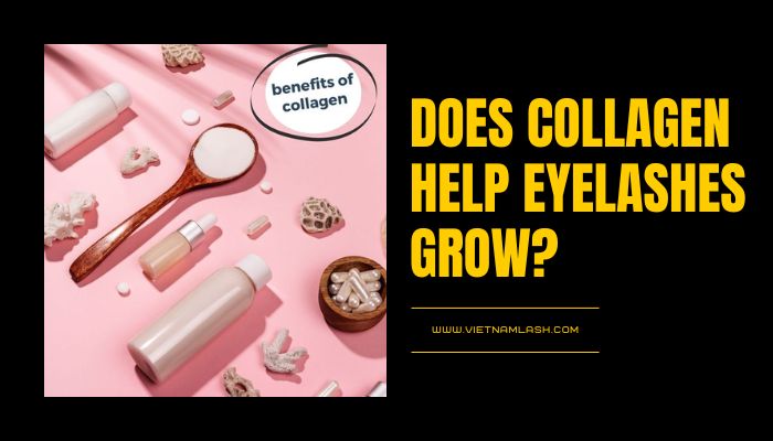 Does Collagen Help Eyelashes Grow