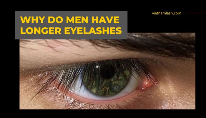 Why do men have longer eyelashes