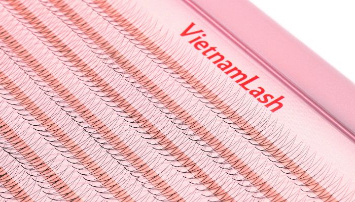 A pomade XL tray of eyelash: This is a mix length- pomade XL lash tray. The fans are ordered into lines making the lash application process faster and more efficient.