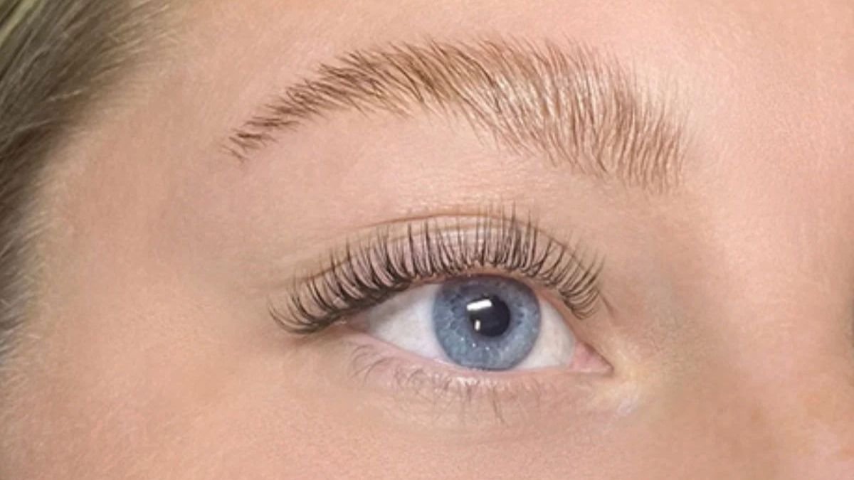 Why Every Lash Spa Needs Narrow Promade Fans Right Now