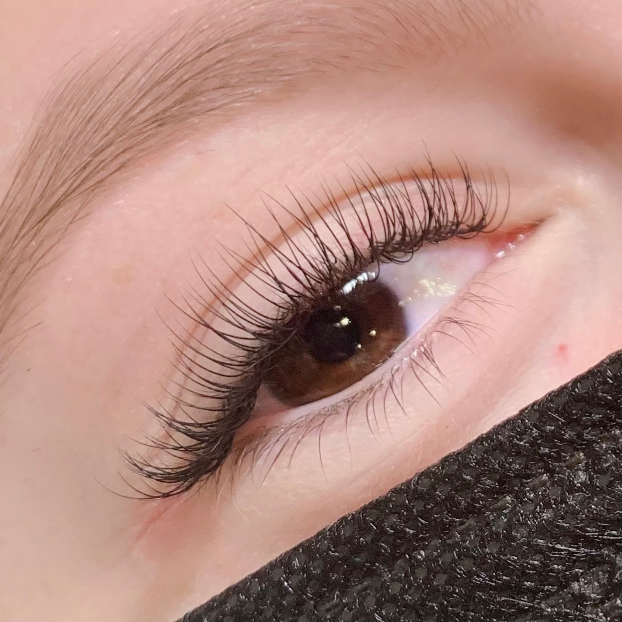 Premade Wide Fan Lashes