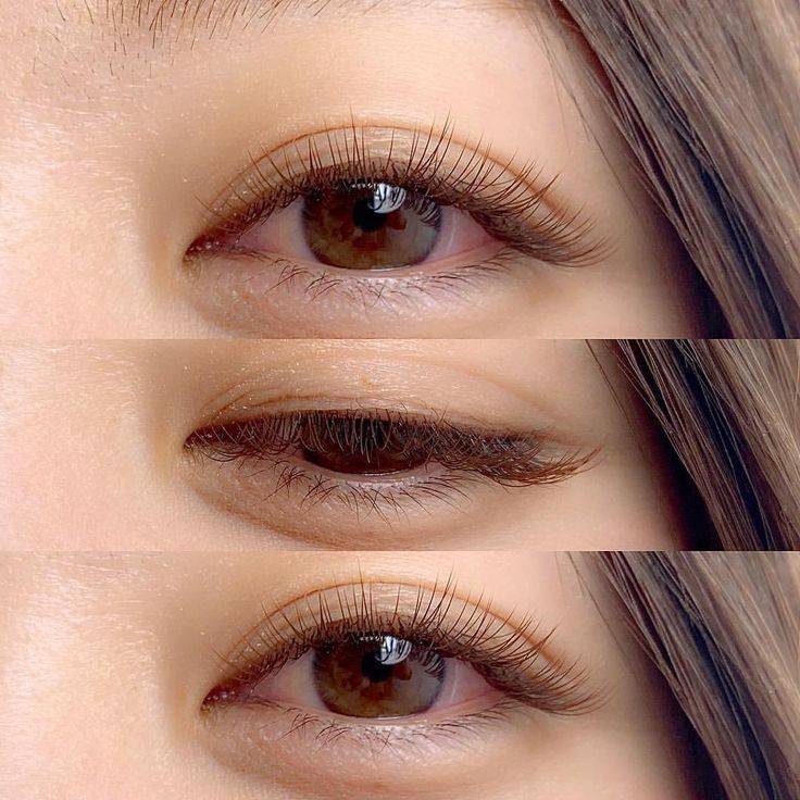brown lash