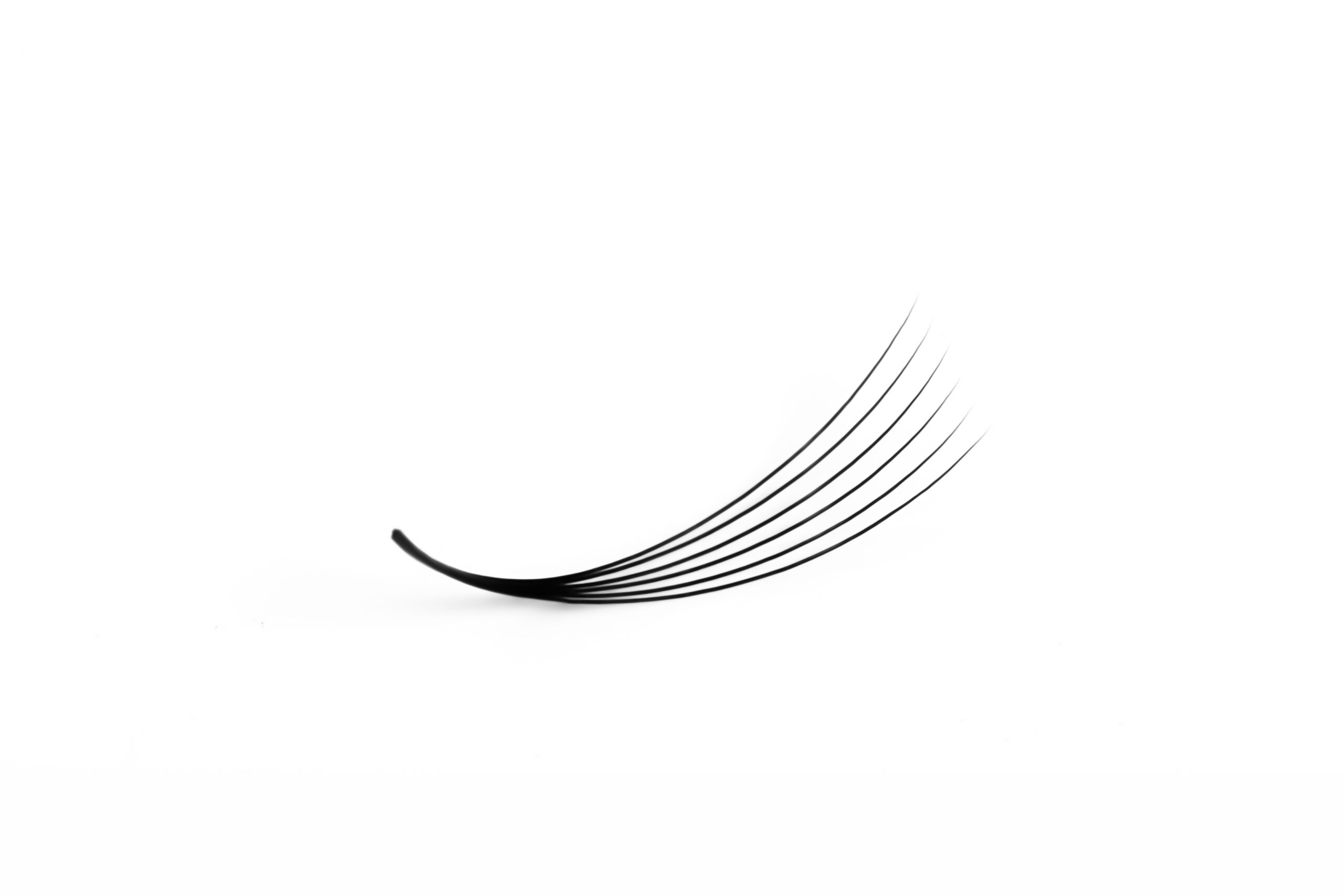 where to buy wholesale lash tray  
