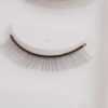5 pairs of practice lashes per tray
